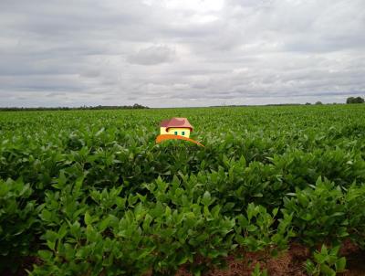 Fazenda para Venda, em Santa Rita do Tocantins, bairro Regio produtora consolidada