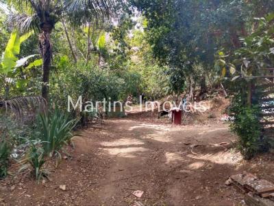 Chcara para Venda, em Itabora, bairro Parque Nova Friburgo (Sambaetiba), 2 dormitrios, 1 banheiro