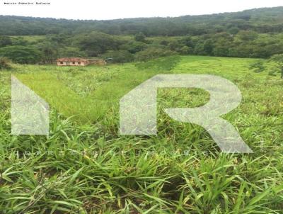 Fazenda para Venda, em gua Limpa, bairro Rural