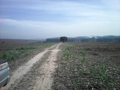 Terreno para Venda, em Sumar, bairro Estncia rvore da Vida