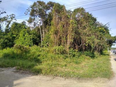 Terreno para Venda, em Itanham, bairro Estrada Suia