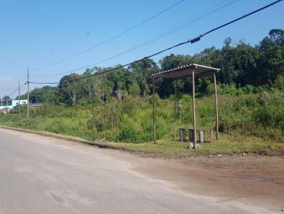 Terreno para Venda, em Itanham, bairro Coronel