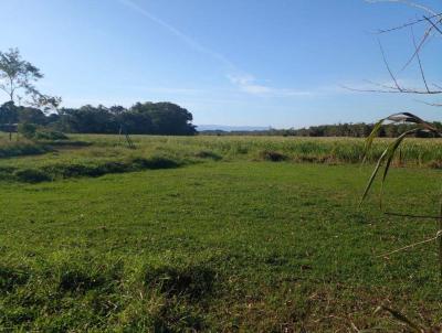 Terreno para Venda, em Perube, bairro Madalena Luza