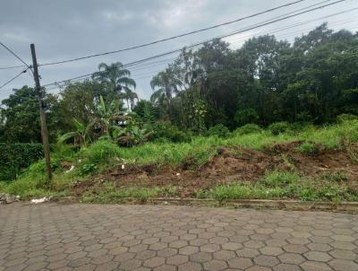 Terreno para Venda, em Itanham, bairro America