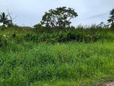 Terreno para Venda, em Itanham, bairro Palmeiras