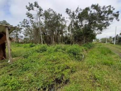 Terreno para Venda, em Itanham, bairro Luiza Mar Mirim