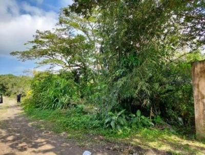 Terreno para Venda, em Itanham, bairro Jardim Tropical