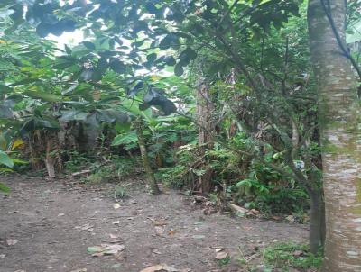 Terreno para Venda, em Itanham, bairro Nossa Senhora Do Sion