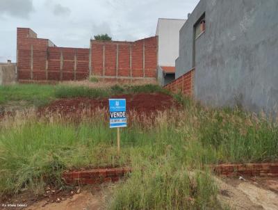 Terreno para Venda, em Pederneiras, bairro JD Castelo