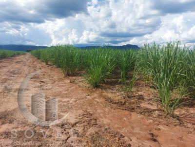 rea Agrcola para Venda, em Charqueada, bairro zona rural, 2 dormitrios