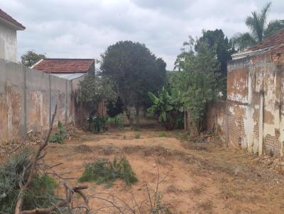 Terreno para Venda, em Lins, bairro Centro