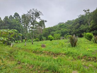 Stio / Chcara para Venda, em So Francisco de Paula, bairro Samambaia