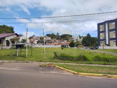 Terreno para Venda, em Sapiranga, bairro Centro