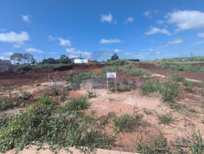 Lote para Venda, em Campo Mouro, bairro Novo Centro