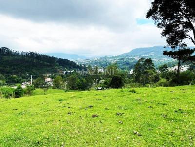 Stio para Venda, em Rio do Sul, bairro Albertina