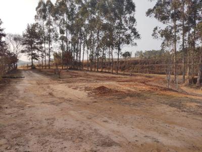 Chcara para Venda, em Muzambinho, bairro RURAL