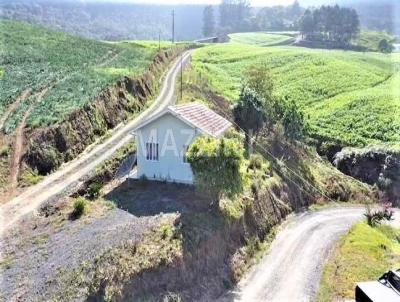 Stio para Venda, em Aurora, bairro Santo Antnio Cobras Sul, 2 dormitrios, 1 banheiro