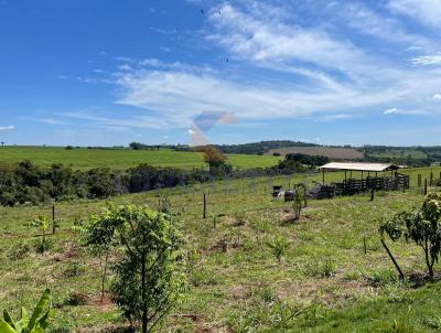 Chcara para Venda, em Campo Mouro, bairro Estrada gua da Binga