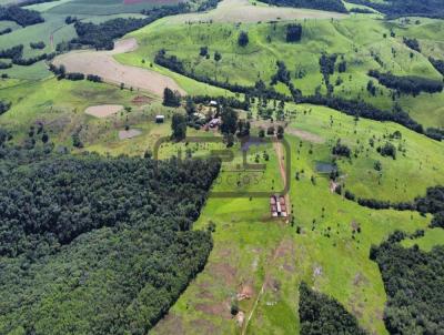 Fazenda para Venda, em Laranjeiras do Sul, bairro .