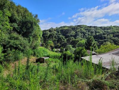 Terreno para Venda, em Palmas, bairro Cascatinha