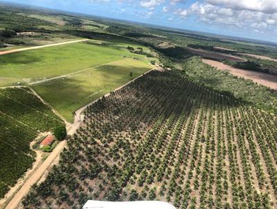 Fazenda para Venda, em Porto Seguro, bairro Zona Rural, 8 dormitrios, 8 banheiros, 19 vagas