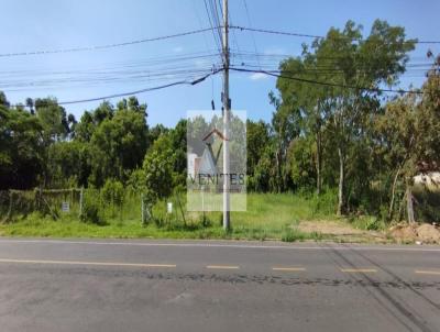 Terreno para Venda, em Igrejinha, bairro Figueira