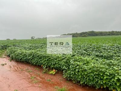 Fazenda para Venda, em Santa Cruz de Gois, bairro Zona Rural