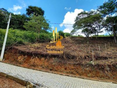 Terreno para Venda, em Nova Friburgo, bairro Cnego