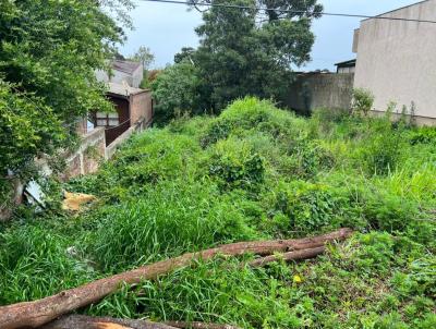 Terreno para Venda, em Canela, bairro Palace Hotel