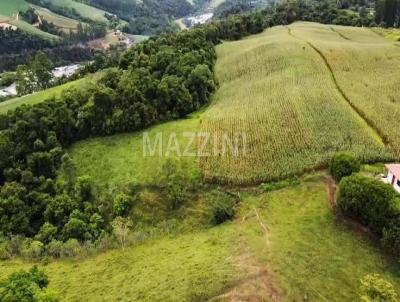 Stio para Venda, em Aurora, bairro Estrada Geral Morro do Schulze