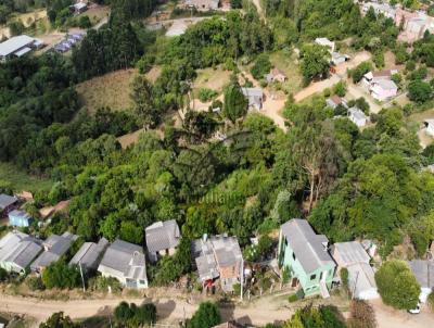 Chcara para Venda, em Santana da Boa Vista, bairro Centro