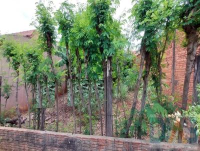 Terreno para Venda, em Barra Bonita, bairro Jardim Samambaia