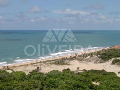 Terreno para Venda, em Tibau do Sul, bairro Praia da Pipa