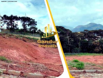 Terreno para Venda, em Nova Friburgo, bairro Braunes