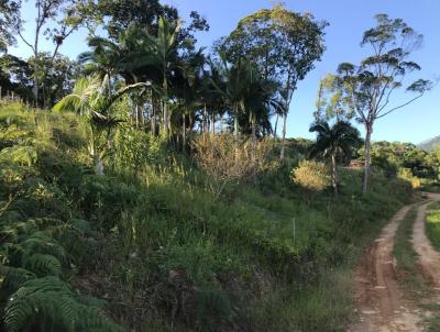 Chcara para Venda, em Massaranduba, bairro Ribeiro Gustavo