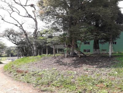 Chcara para Venda, em Tijucas do Sul, bairro Vila Cubas, 5 dormitrios, 3 banheiros