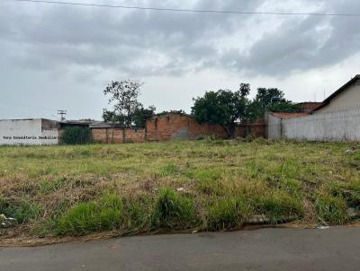 Terreno para Venda, em Aparecida de Goinia, bairro Vila Oliveira