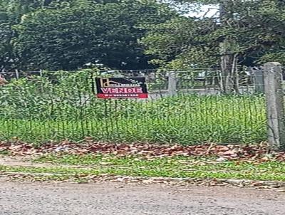 Terreno Comercial para Venda, em Triunfo, bairro Olaria