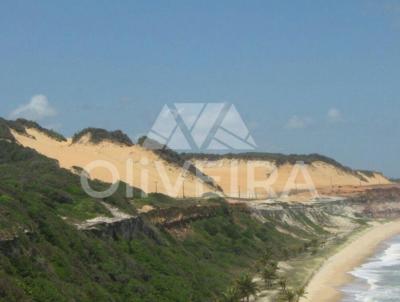 Terreno para Venda, em Tibau do Sul, bairro Praia da Pipa