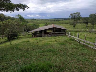 Chcara para Venda, em Vilhena, bairro LINHA 06