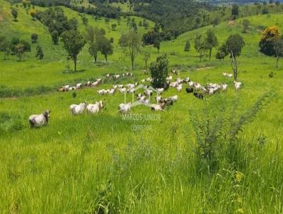 Fazenda para Venda, em Buenpolis, bairro ZONA RURAL