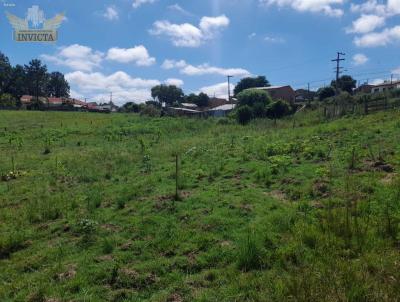 Terreno para Venda, em Santana do Livramento, bairro Vila real