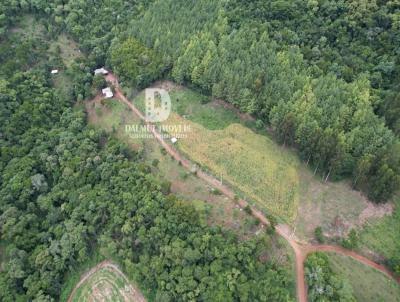 rea Rural para Venda, em Marcelino Ramos, bairro interior, 2 dormitrios, 1 banheiro, 2 vagas