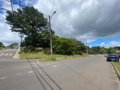 Terreno para Venda, em Canela, bairro So Rafael