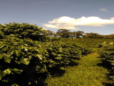 Chcara para Venda, em Santa Rita de Caldas, bairro RURAL