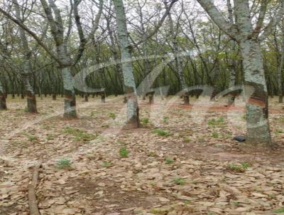 Fazenda para Venda, em Cassilndia, bairro Fazenda para Venda Cassilndia MS