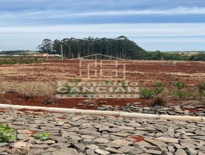 Terreno para Venda, em Santa Rosa, bairro Guia Lopes