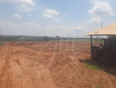 Fazenda para Venda, em Palestina, bairro Fazenda para Venda Palestina SP