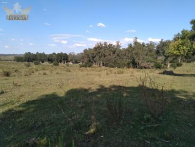 Chcara para Venda, em Santana do Livramento, bairro Rinco da Roa