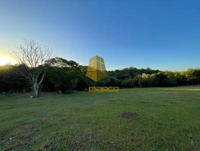 Terra para Venda, em So Pedro do Sul, bairro Zona rural